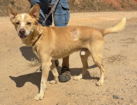 Mati sucht eine Familie!