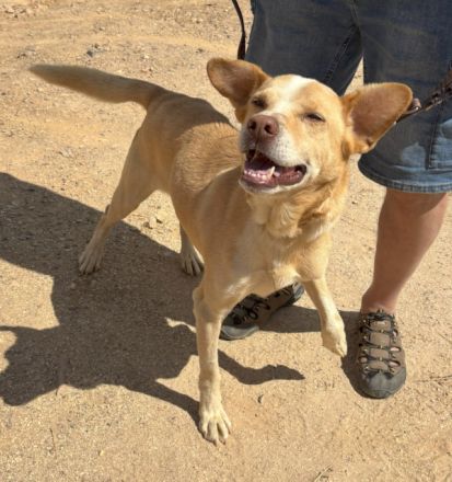 Mati sucht eine Familie!