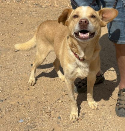 Mati sucht eine Familie!