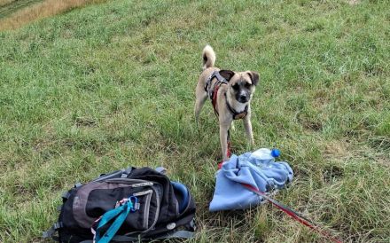 Payton sucht ihr perfect match