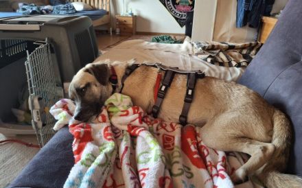 Payton sucht ihr perfect match