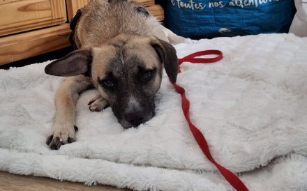 Payton sucht ihr perfect match