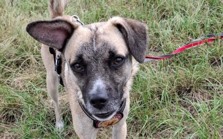 Payton sucht ihr perfect match