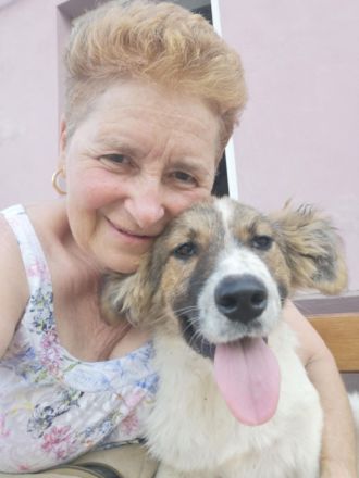 SUSIE - sanfte Schönheit sucht Familie