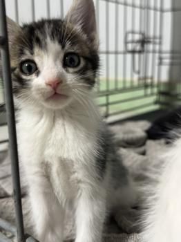 Athenas, Cairo und Oslo