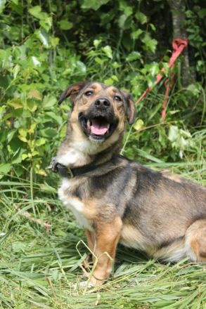 Zauberhafte kleine Henriette wünscht sich ein Zuhause