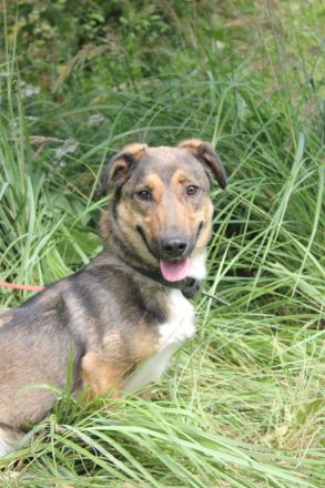 Zauberhafte kleine Henriette wünscht sich ein Zuhause