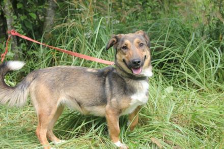 Zauberhafte kleine Henriette wünscht sich ein Zuhause