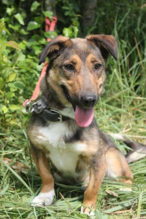 Zauberhafte kleine Henriette wünscht sich ein Zuhause