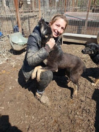 Safari, aufgeschlossene, sehr menschenbezogene Junghündin sucht liebe Menschen, 1 Jahr, 49 cm