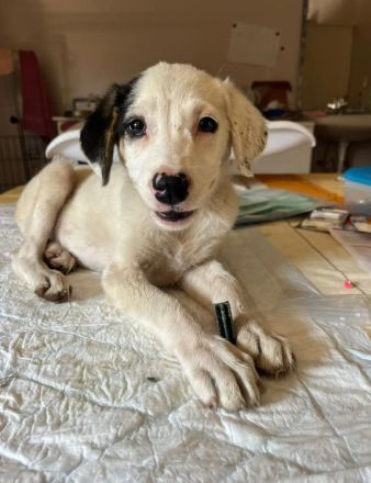 Miranda und Beverly wollen noch viel erleben