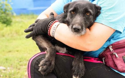 Scheue Selma sucht sicheren Heimathafen