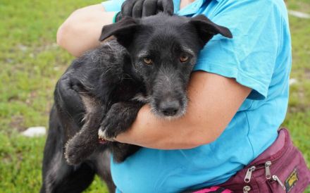 Scheue Selma sucht sicheren Heimathafen