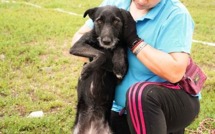 Scheue Selma sucht sicheren Heimathafen