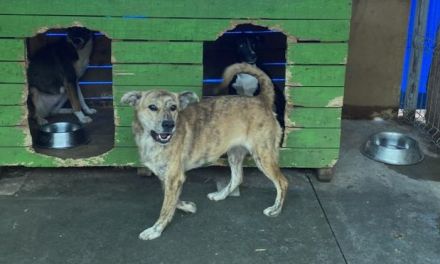 Wer schenkt Bettina eine sorgenfreie Zukunft?