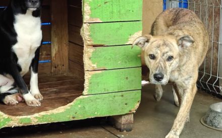 Wer schenkt Bettina eine sorgenfreie Zukunft?