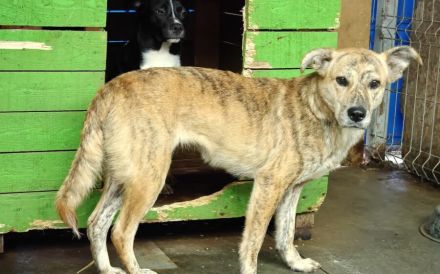 Wer schenkt Bettina eine sorgenfreie Zukunft?