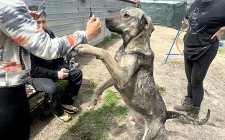 Wer öffnet sein Herz für Igor?
