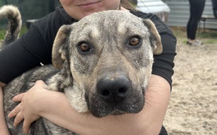 Wer öffnet sein Herz für Igor?