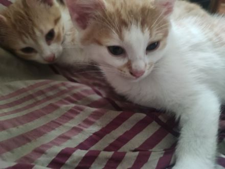 Aufgrund von persönl.Krankheit... Preisnachlass auf 125