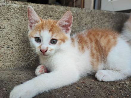 Aufgrund von persönl.Krankheit... Preisnachlass auf 125