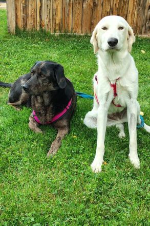 Bianca, die schöne Weiße!