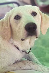 Bianca, die schöne Weiße!