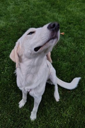 Bianca, die schöne Weiße!