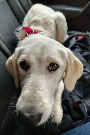 Bianca, die schöne Weiße!