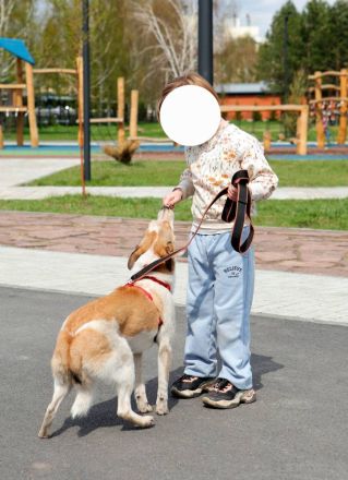 Milascha: bezauberndes, agiles Hundemädel mit einzigartigen Ohren sucht nach ihrem Für-immer-Zuhause
