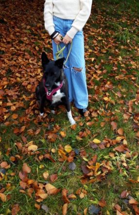 JOY wartet auf euch in 96361 Seinbach