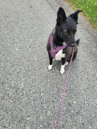 JOY wartet auf euch in 96361 Seinbach