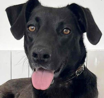 Sportliche Mai, möchte Deine Gefährtin werden