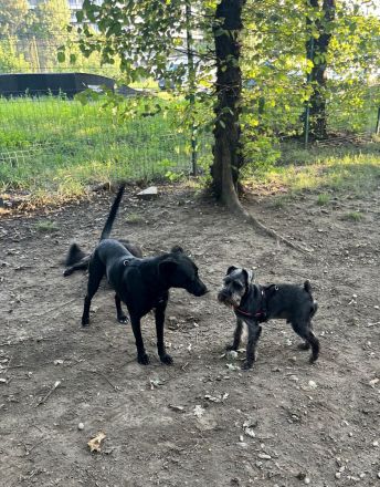 Sportliche Mai, möchte Deine Gefährtin werden