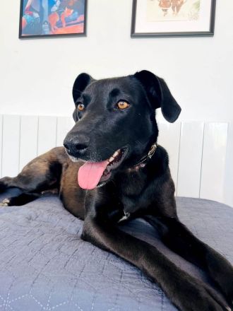 Sportliche Mai, möchte Deine Gefährtin werden