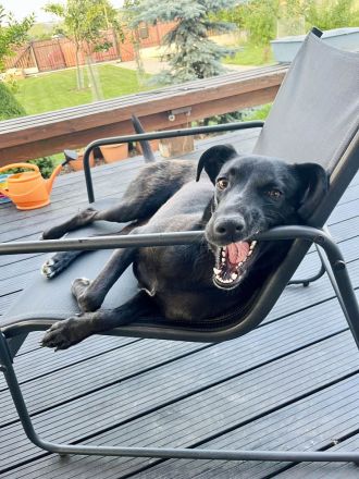 Sportliche Mai, möchte Deine Gefährtin werden