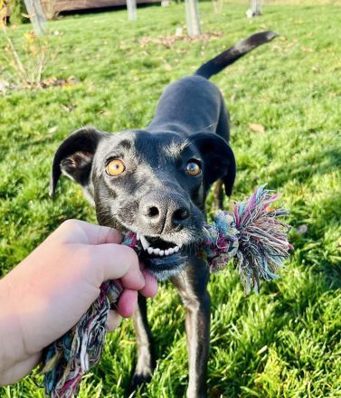 Sportliche Mai, möchte Deine Gefährtin werden
