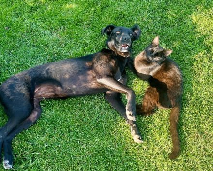 Sportliche Mai, möchte Deine Gefährtin werden