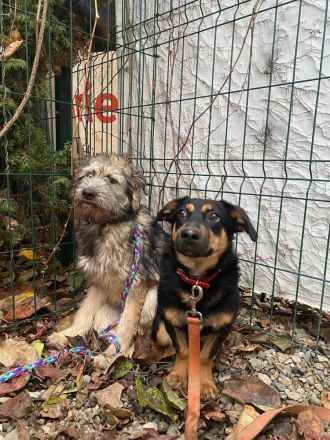 Kleine, schüchterne Rica sucht liebe Menschen