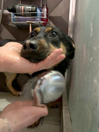 Kleine, schüchterne Rica sucht liebe Menschen