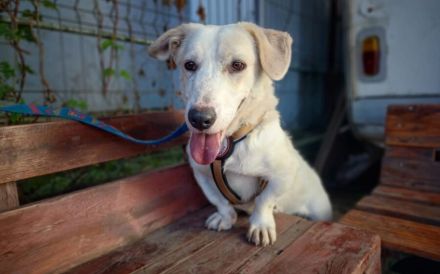 Tuuri sucht sein Glück