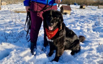 Wärme und Zuversicht für Nouri