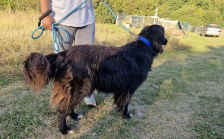 Wärme und Zuversicht für Nouri