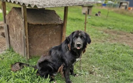 Wärme und Zuversicht für Nouri