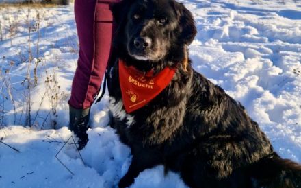 Wärme und Zuversicht für Nouri