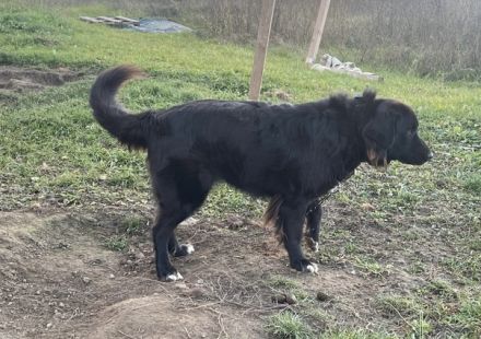 Wärme und Zuversicht für Nouri