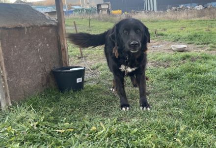 Wärme und Zuversicht für Nouri