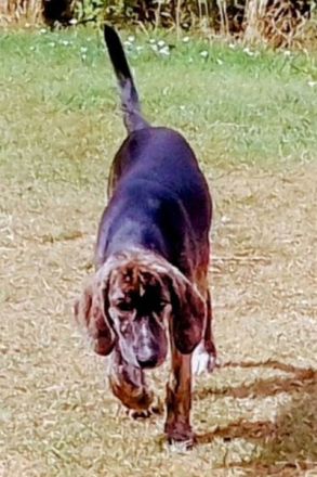 Noemi und Perla warten