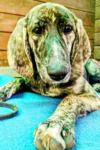 Noemi und Perla warten