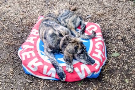 Noemi und Perla warten